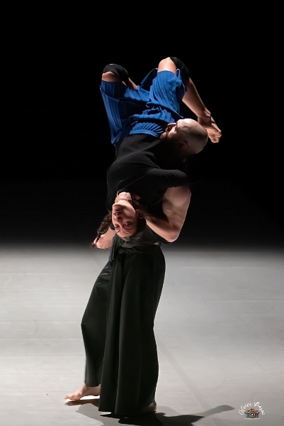 Tendre colére E2-11 